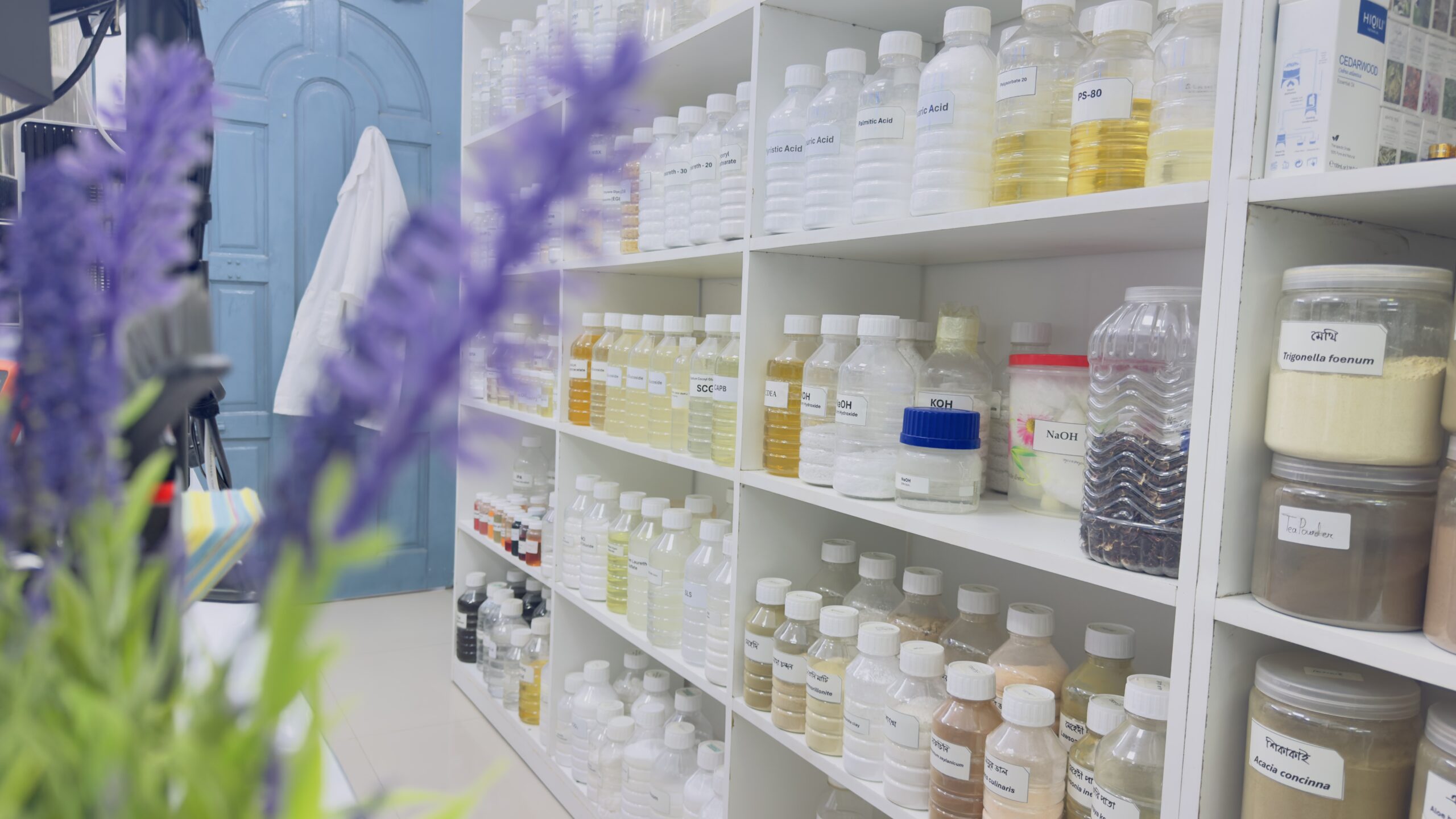 Dermax Lab Academy (7)